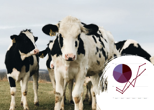 Бизнес-план молочной фермы в Украине: новое предприятие под новые стандарты 